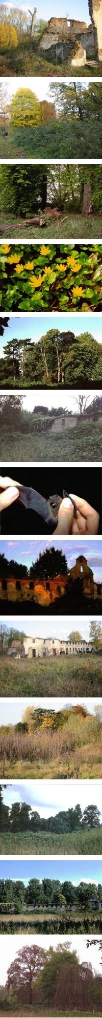 Ihr Partner fr Umweltgutachten: IVÖR